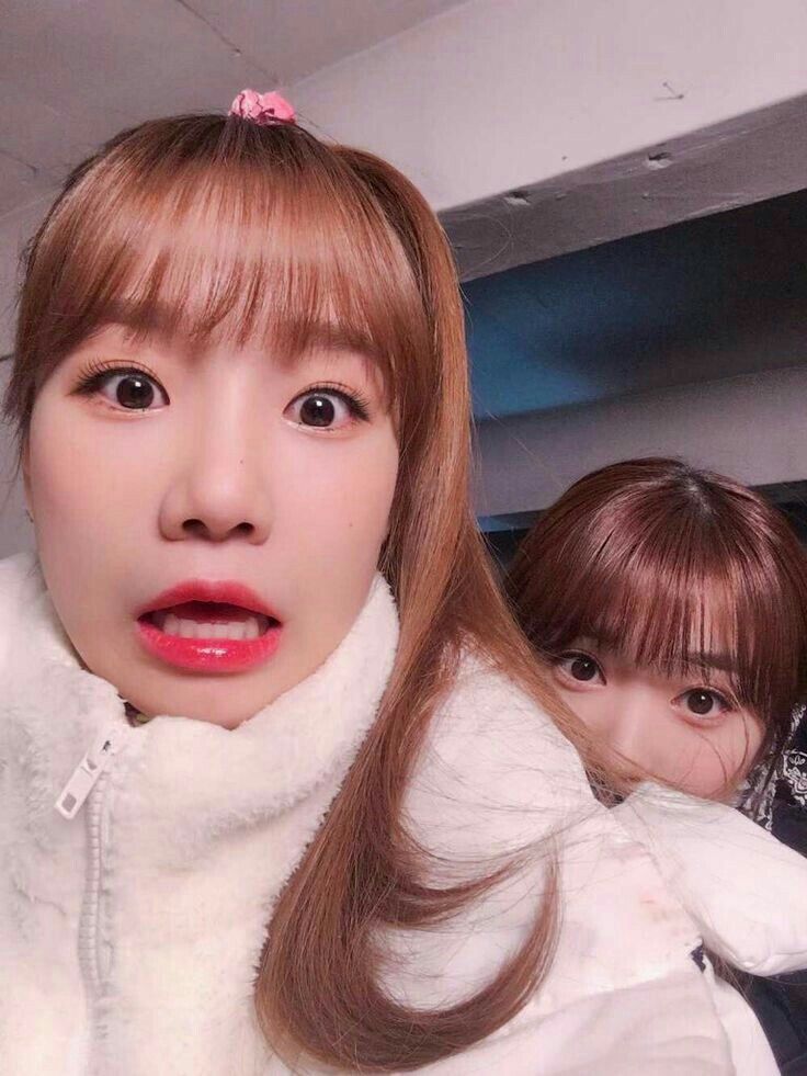 아이즈원 프로듀스48 사진 모음