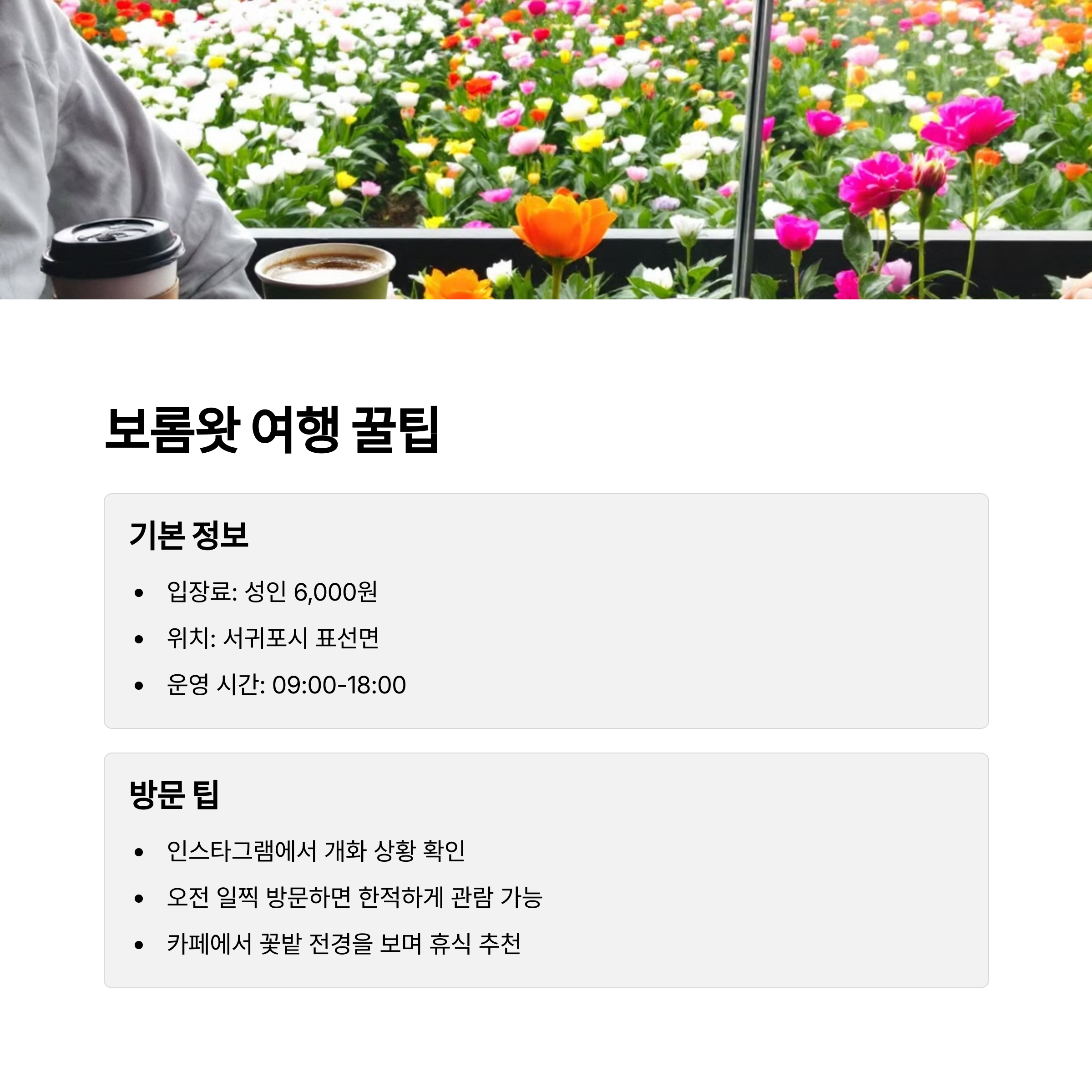 보름왓 여행 꿀팁