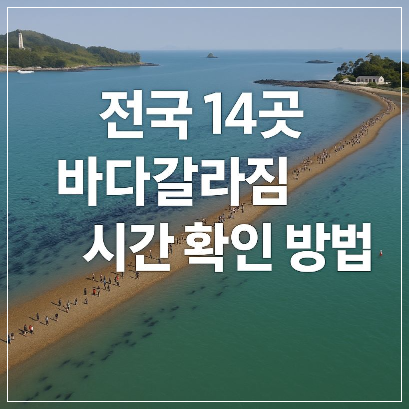 전국 바닷길 열리는 시간 확인 4가지 방법 썸네일