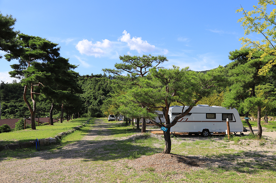 솔뜰 캠핑장