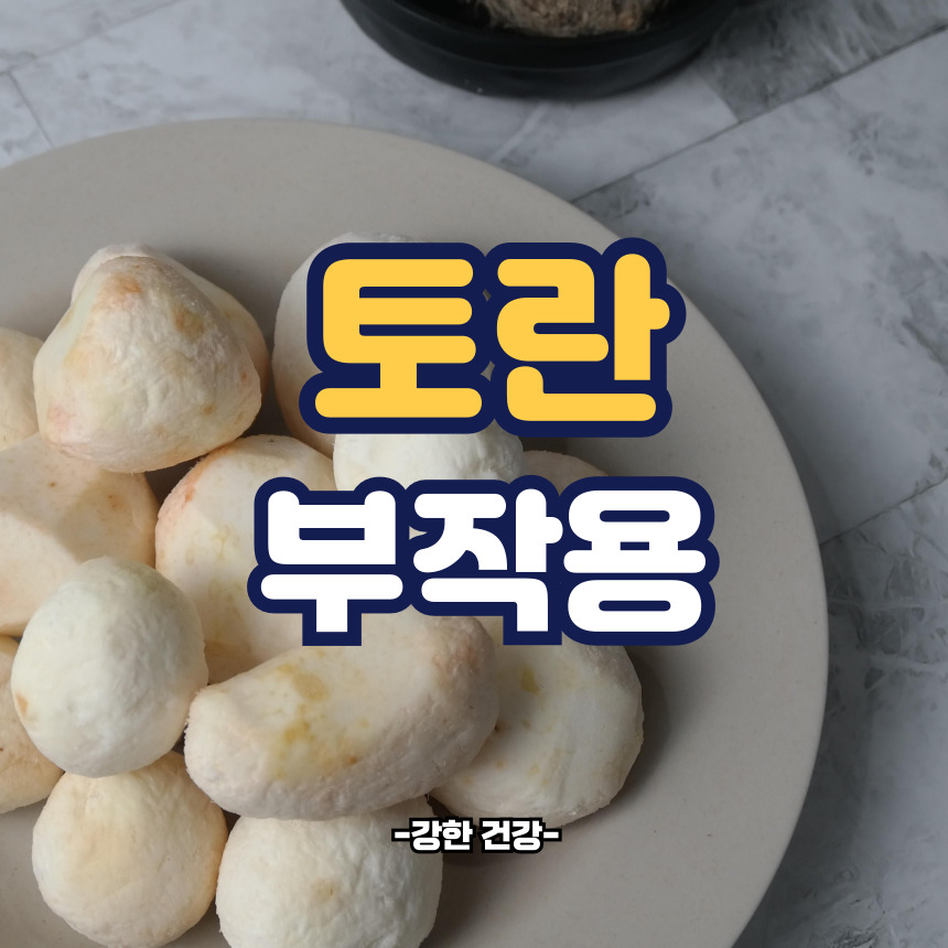 토란 부작용