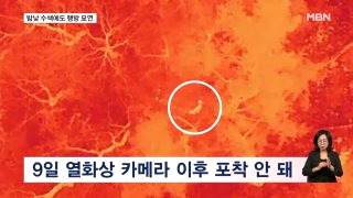늑구 포획 현상금 청주 암컷 AI사진 총정리