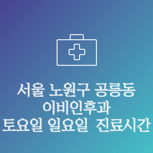 서울 노원구 공릉동 이비인후과 주말 토요일 일요일 문여는 병원 진료시간