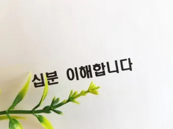 십분 이해하다 뜻 유래 맞춤법_13