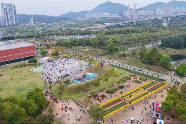 인천 드림파크 국화축제 이미지/ 출처: 대한민국 구석구석