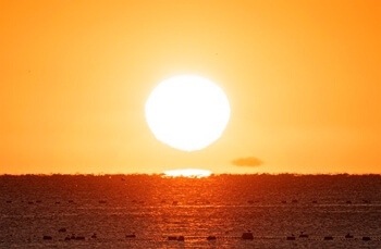 전국 일출 해돋이 실시간 생중계 라이브 행사