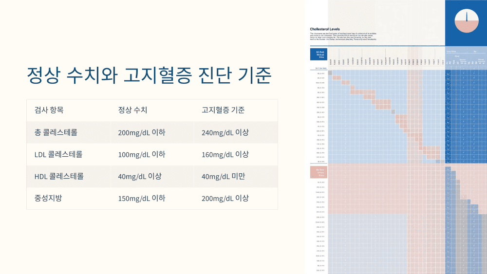 우리 몸속의 '숫자'로 알 수 있는 고지혈증