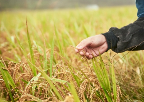 2025 농업직불금 지급시기 신청방법 