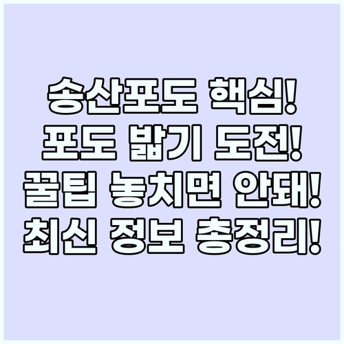 송산포도축제 핵심 프로그램: 와인 시..