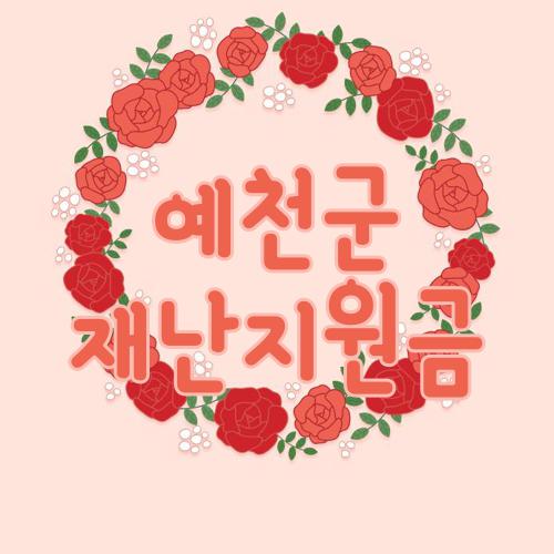 예천군 재난지원금