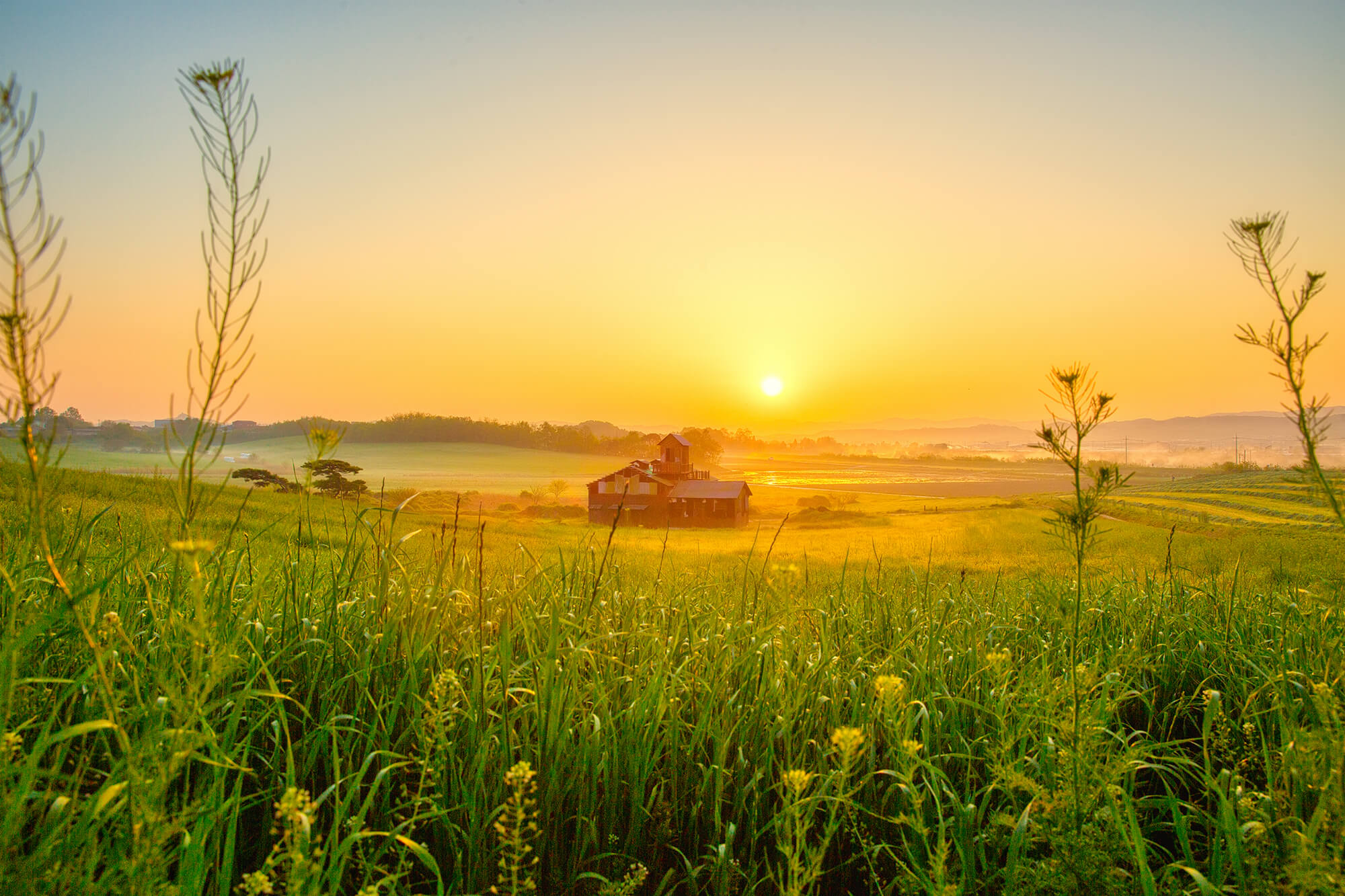 안성목장 일출4