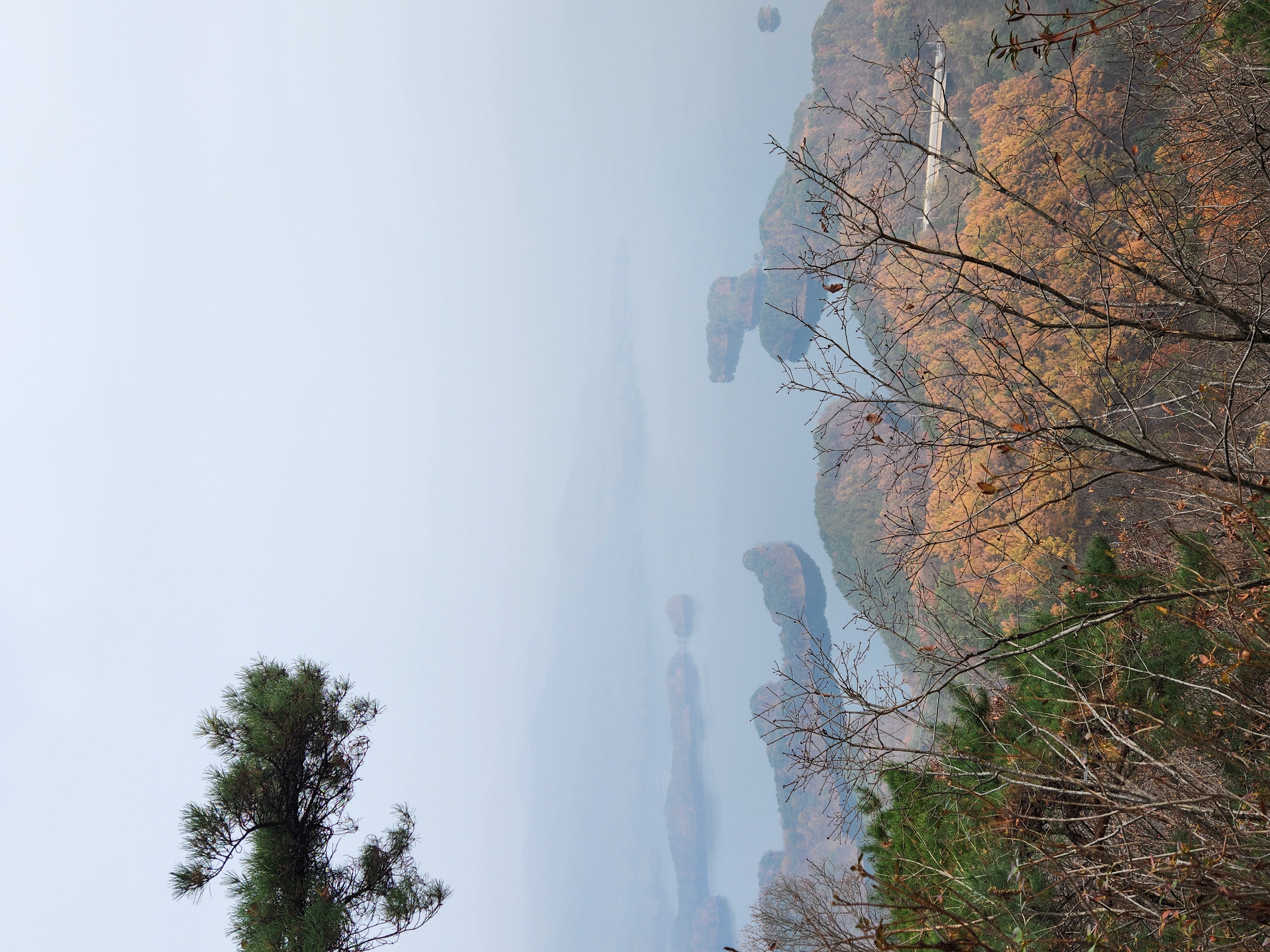 충주 악어봉