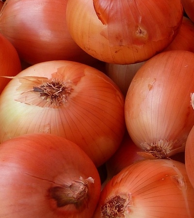 양파 효능 사진1