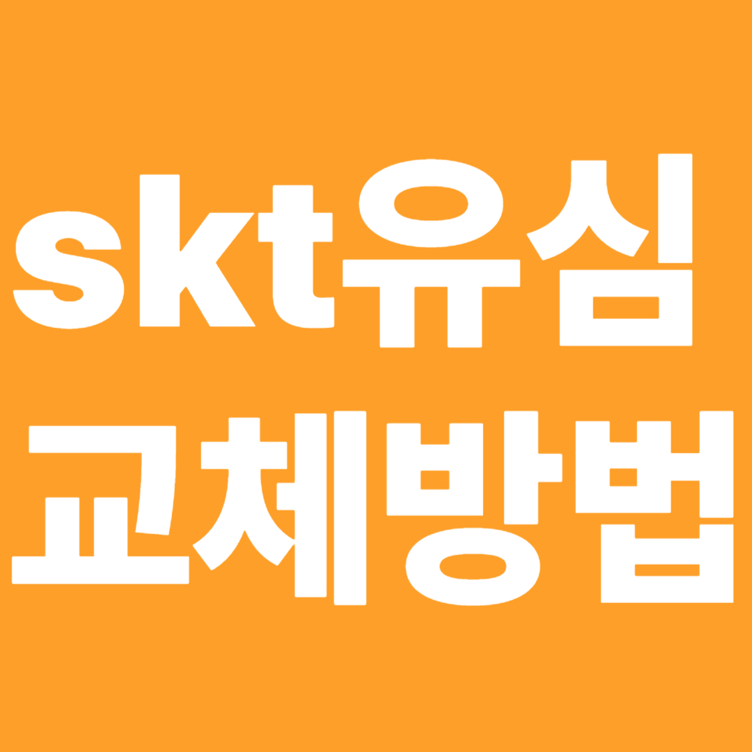 skt유심교채방법썸네일