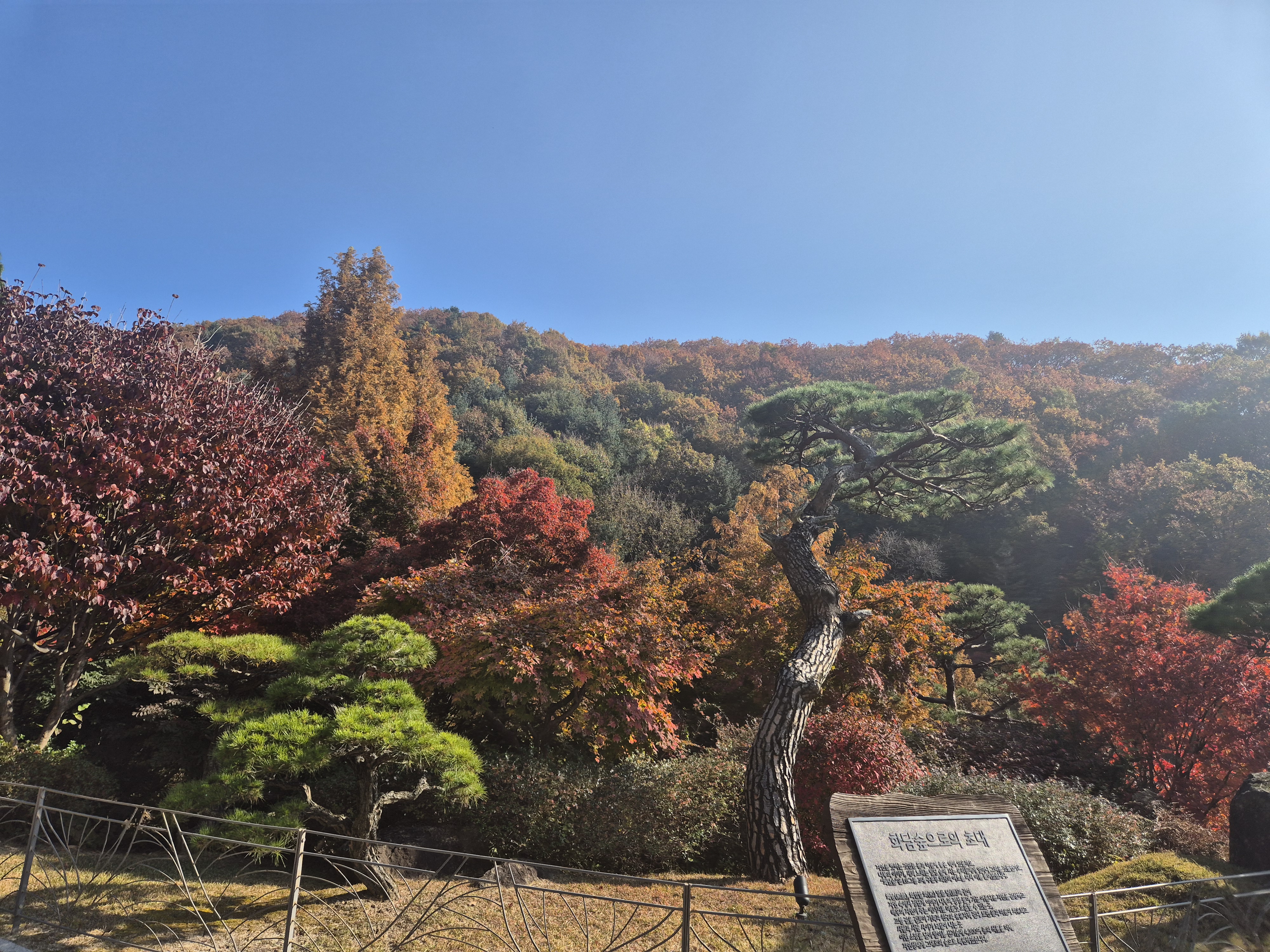 가을, 엄마와 언니와 함께한 화담숲 단풍여행