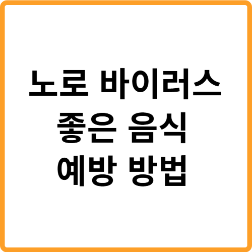 노로 바이러스에 좋은 음식 예방 방법 관련 사진