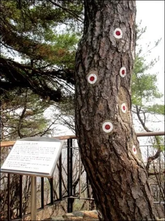 김신조 사건 정리 121사태와 남파공작원의 역사 배경 설명_20