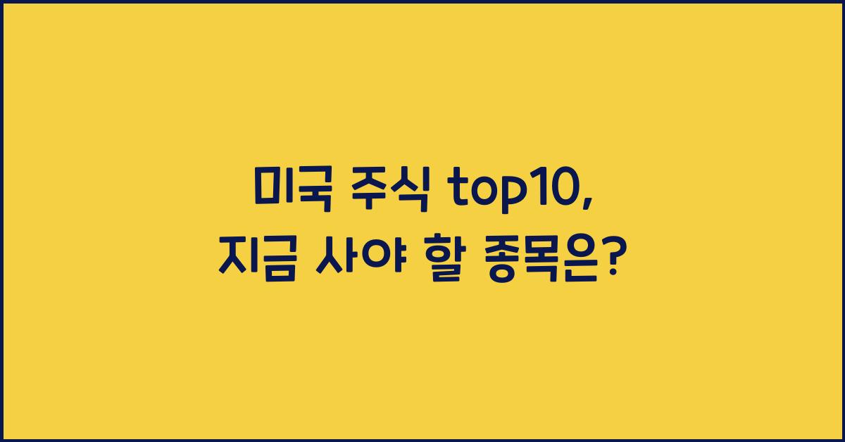 미국 주식 top10
