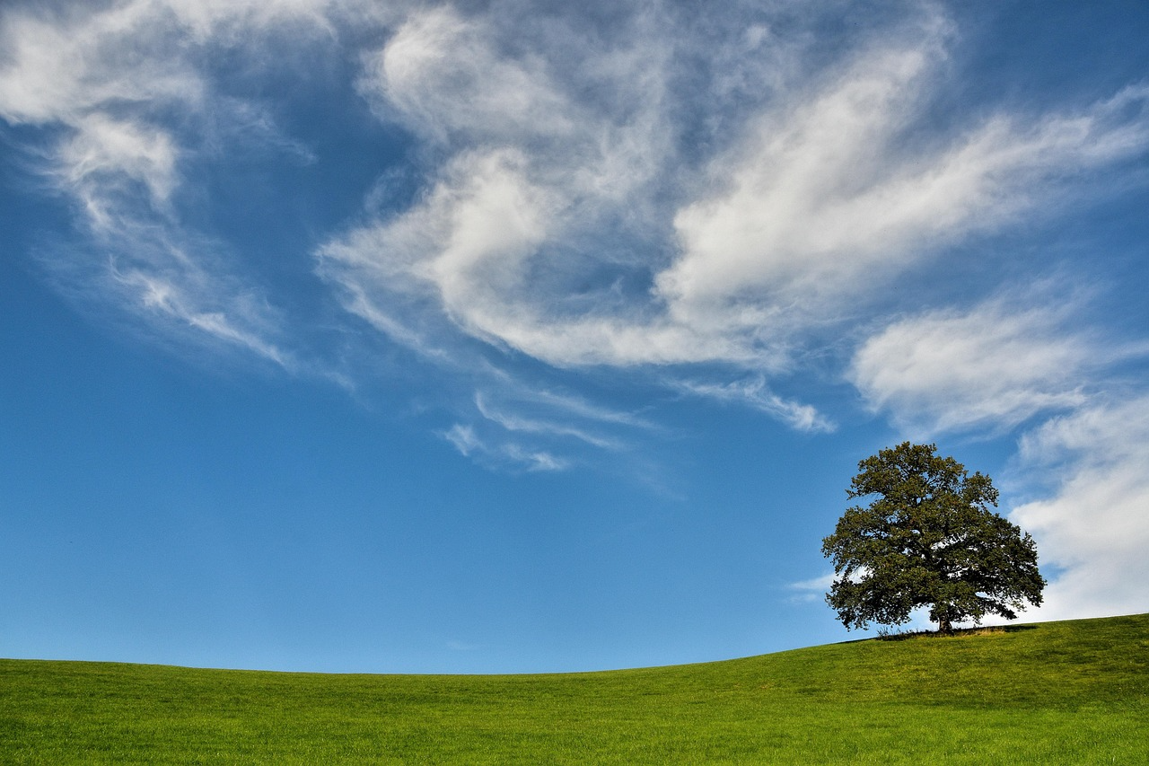 2026년 영암 부동산 정보 관련 사진