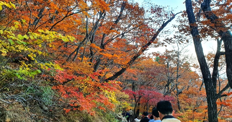 권금성-외설악-단풍