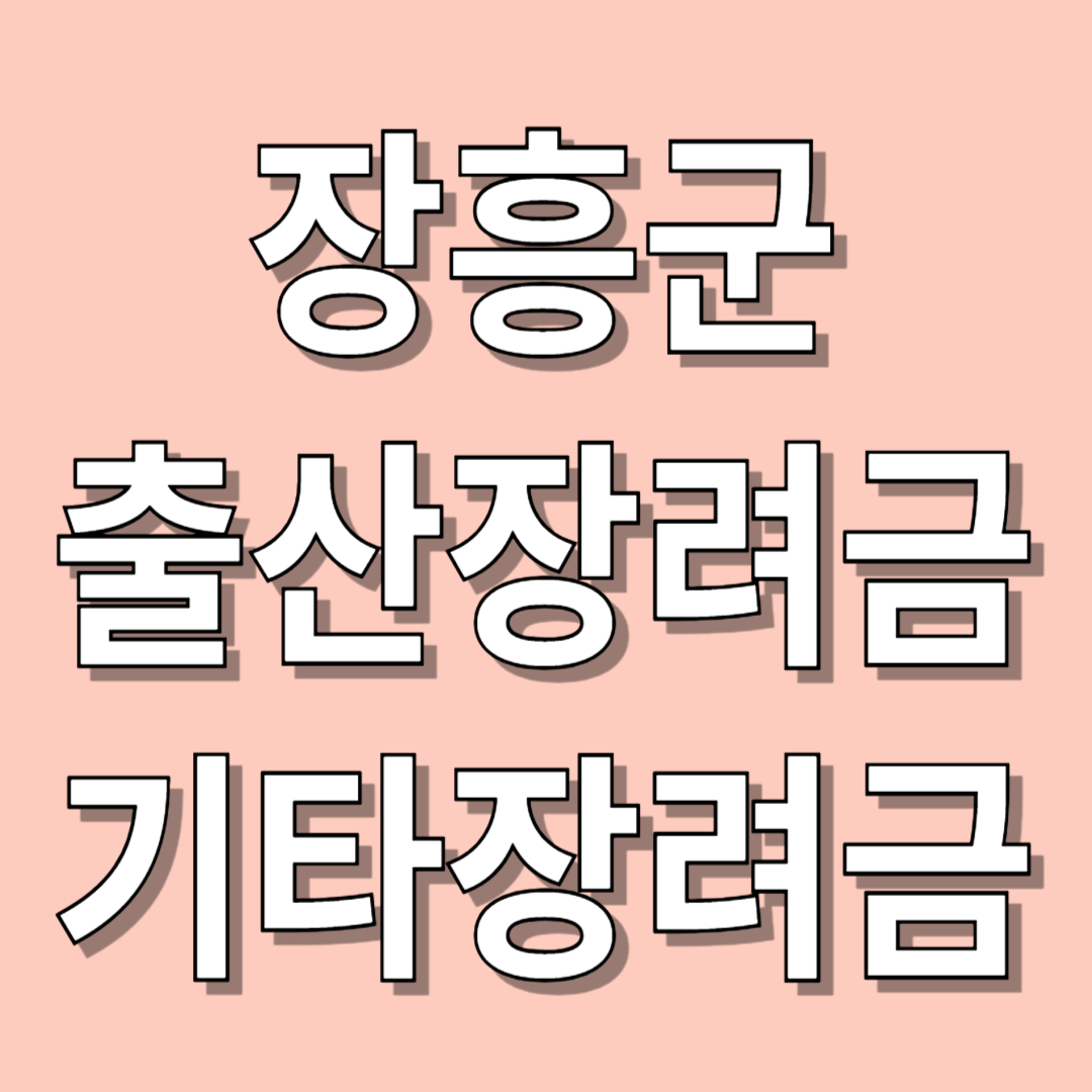 장흥군 출산장려금