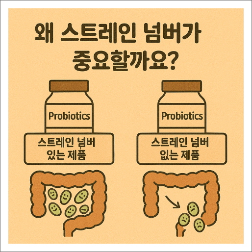왜 스트레인 넘버가 중요할까요?