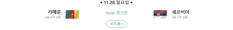 2022 카타르 월드컵 G조