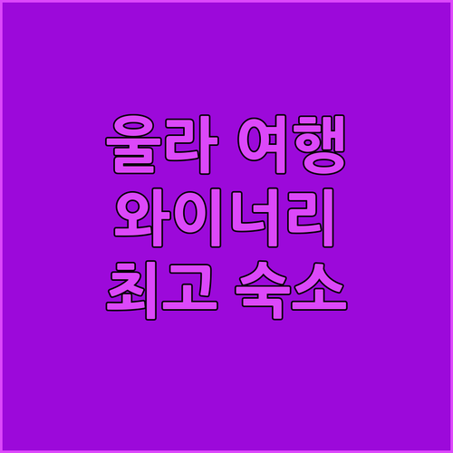 낭만 가득 울라 여행! 와이너리 투어