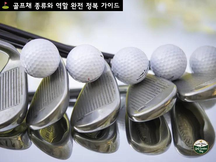 초보도 이해하는 골프채 완벽 가이드