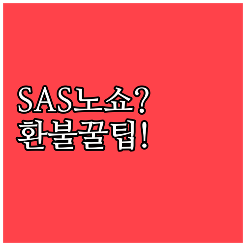 SAS 항공편 취소 시 노쇼 주의사항..