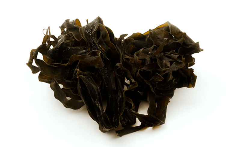 하루수면 부작용 없는 감태추출물 수면 도움 영양제 (효능&amp;#44; 내돈내산 후기)