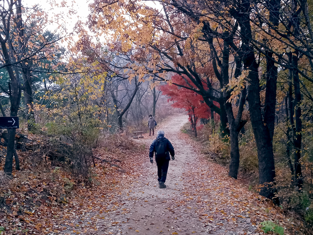 워크온앱(WalkON) 1일1만보걷기챌린지