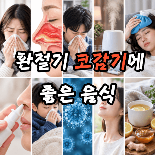 코감기에 좋은 음식