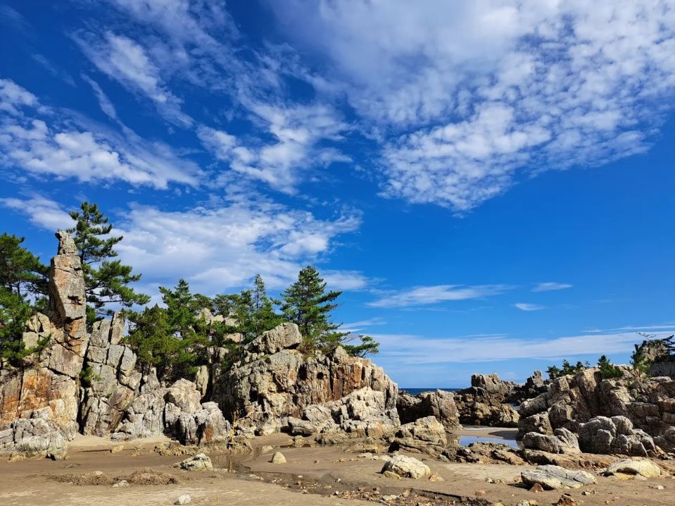 부남해변