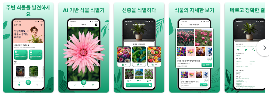 식물 이름 찾기 어플, 어플 다운로드 하고 식물이름 찾기