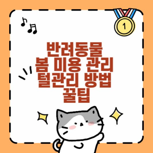 반려동물 봄 미용 관리 털관리 방법 꿀팁