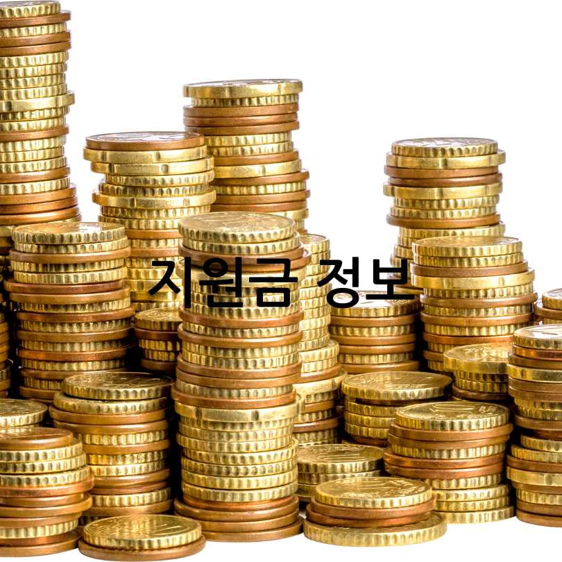 파주생활지원금