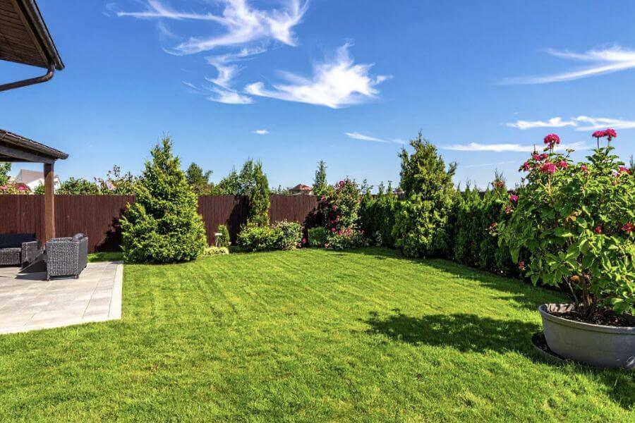 시골집 벌레 관리가 예상보다 더 중요한 이유