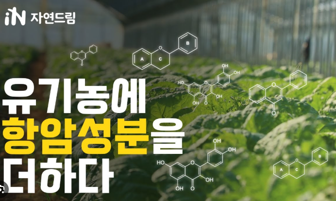 소만콩 구매 방법 진천농장 판매처 구별법 충북 소만 검정콩 효능