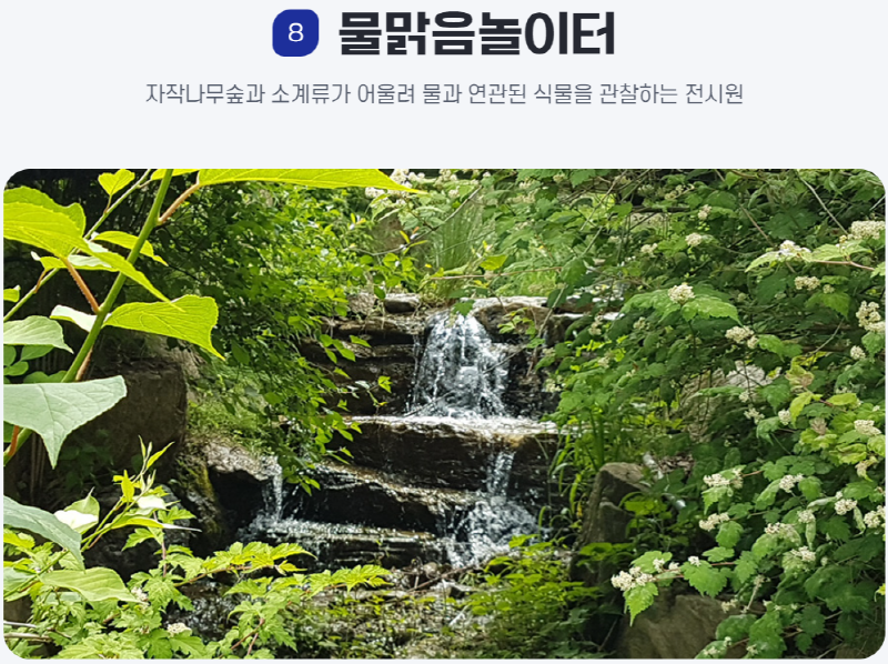 물맑음 수목원