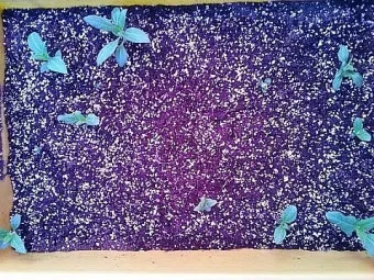 감자 재배 달력 파종 북주기 역병 관리 수확 및 저장_15