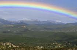 ISTP 유형 특징 분석