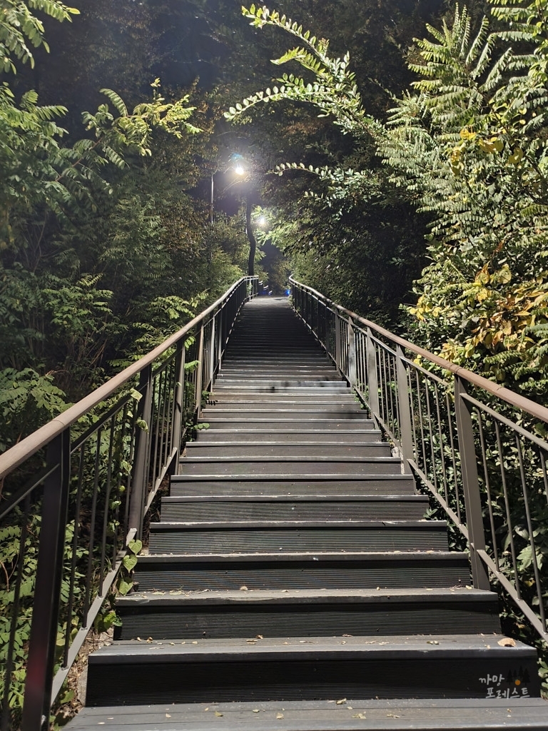 달맞이봉 공원 내려가는 길