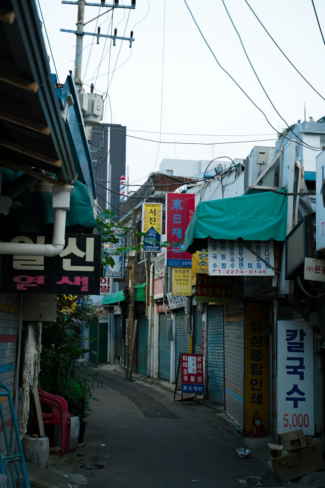 디즈니런 서울2024 모르면 손해! 꼭 알아야 할 6가지 사실 관련 이미지 1