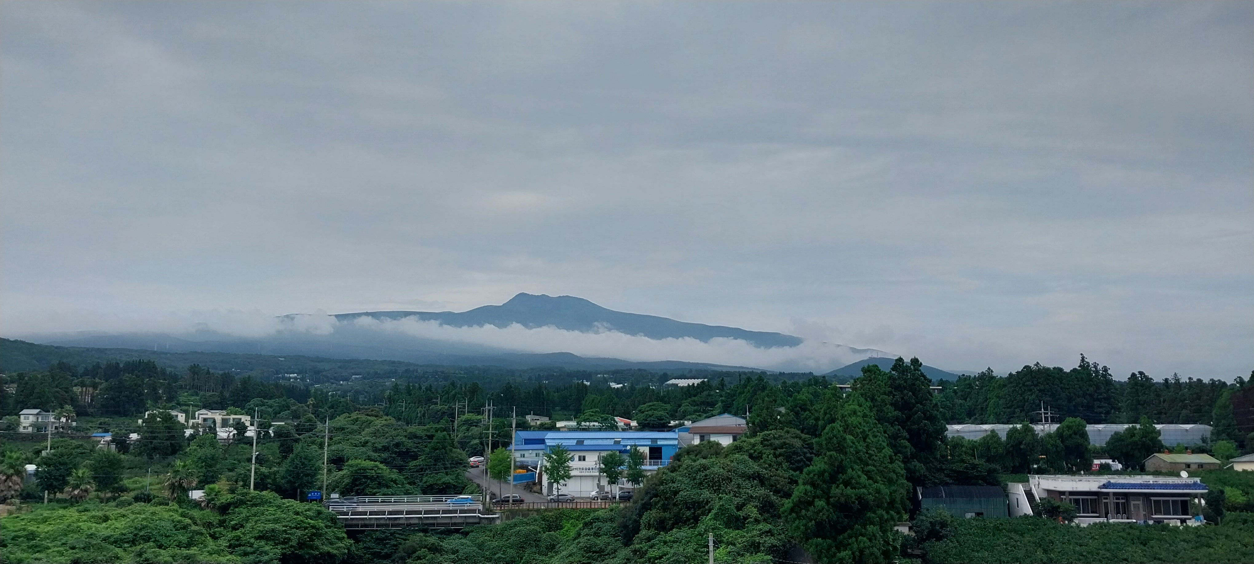 제주 서귀포 호텔 사슴벌레