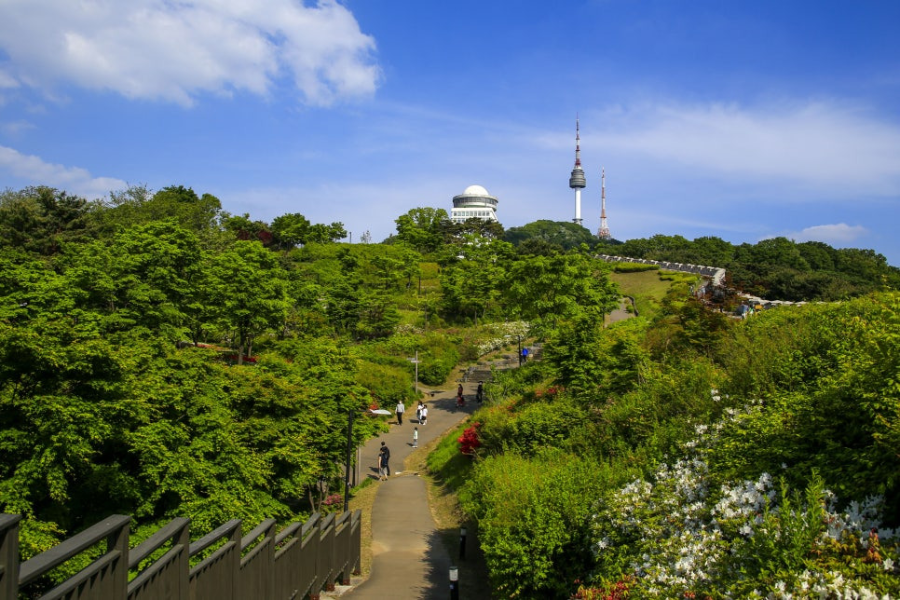 남산 서머 페스티벌