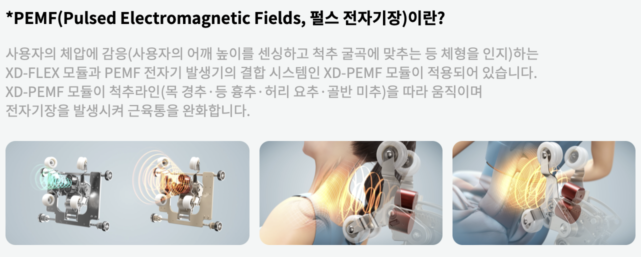 PEMF 펄스 전자기장의 설명
