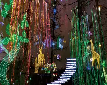 아침고요수목원_10