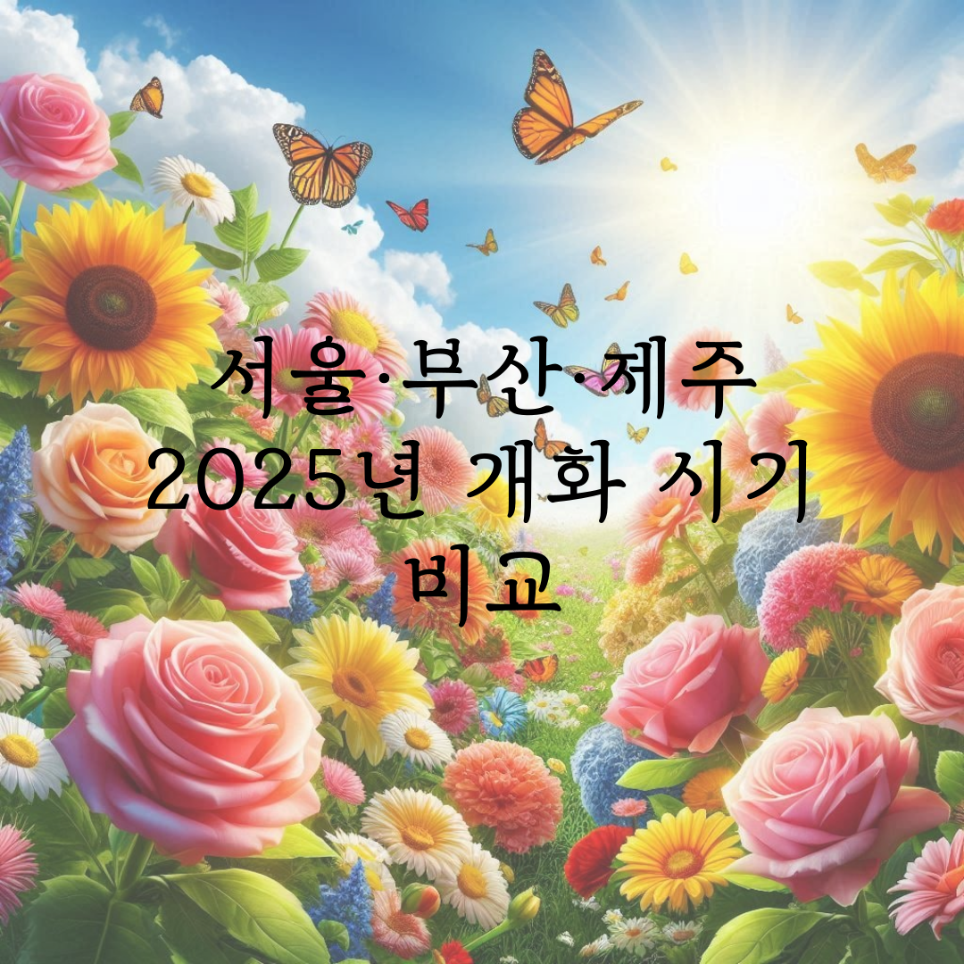 서울·부산·제주 2025년 개화 시기 비교 관련 사진