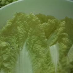 배추 효능 부작용 칼로리